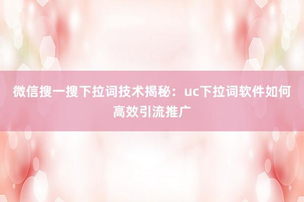 微信搜一搜下拉词技术揭秘：uc下拉词软件如何高效引流推广