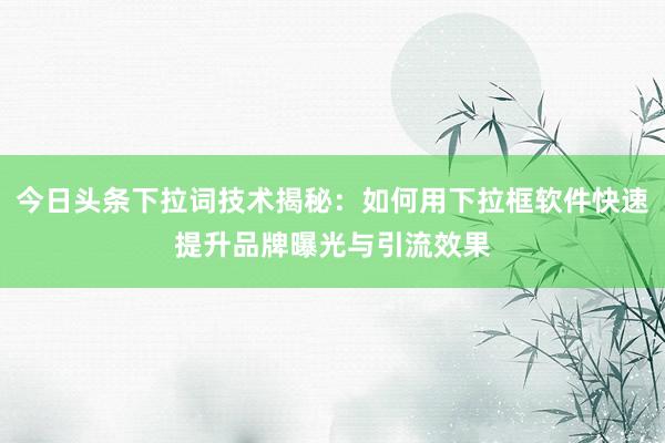 今日头条下拉词技术揭秘：如何用下拉框软件快速提升品牌曝光与引流效果