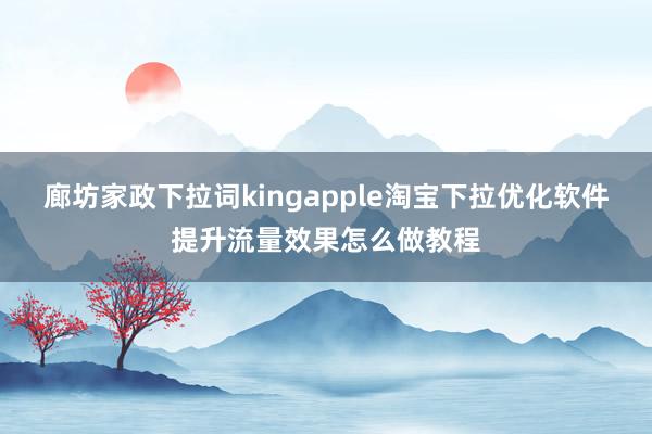 廊坊家政下拉词kingapple淘宝下拉优化软件提升流量效果怎么做教程
