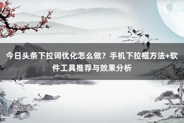 今日头条下拉词优化怎么做？手机下拉框方法+软件工具推荐与效果分析