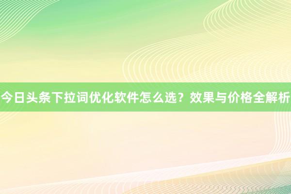 今日头条下拉词优化软件怎么选？效果与价格全解析
