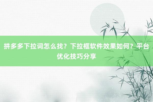 拼多多下拉词怎么找？下拉框软件效果如何？平台优化技巧分享