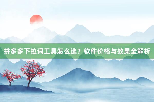 拼多多下拉词工具怎么选？软件价格与效果全解析