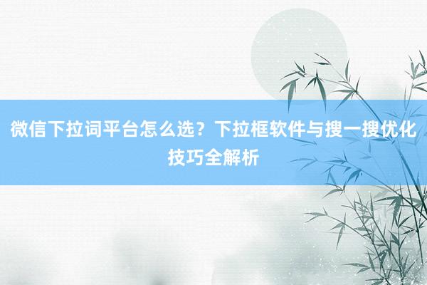 微信下拉词平台怎么选？下拉框软件与搜一搜优化技巧全解析