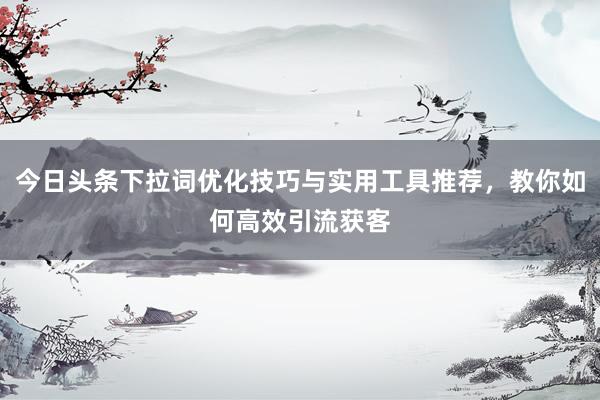 今日头条下拉词优化技巧与实用工具推荐，教你如何高效引流获客