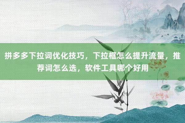 拼多多下拉词优化技巧，下拉框怎么提升流量，推荐词怎么选，软件工具哪个好用