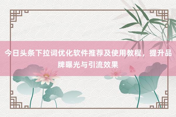 今日头条下拉词优化软件推荐及使用教程，提升品牌曝光与引流效果