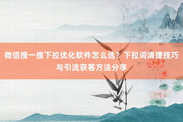 微信搜一搜下拉优化软件怎么选？下拉词清理技巧与引流获客方法分享