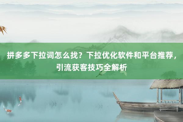 拼多多下拉词怎么找？下拉优化软件和平台推荐，引流获客技巧全解析