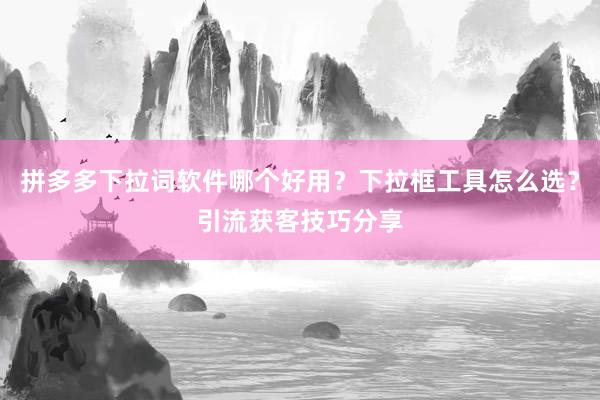 拼多多下拉词软件哪个好用？下拉框工具怎么选？引流获客技巧分享