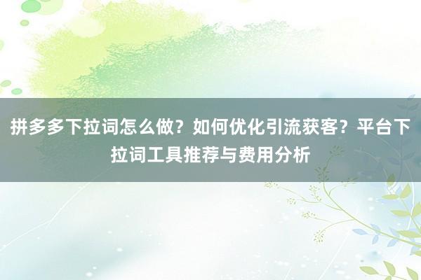 拼多多下拉词怎么做？如何优化引流获客？平台下拉词工具推荐与费用分析