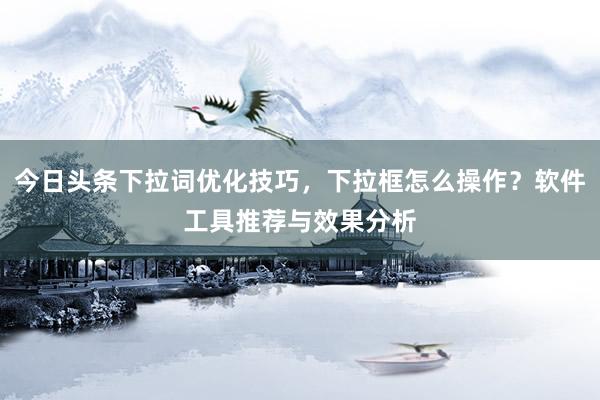 今日头条下拉词优化技巧，下拉框怎么操作？软件工具推荐与效果分析