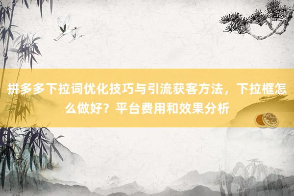 拼多多下拉词优化技巧与引流获客方法，下拉框怎么做好？平台费用和效果分析