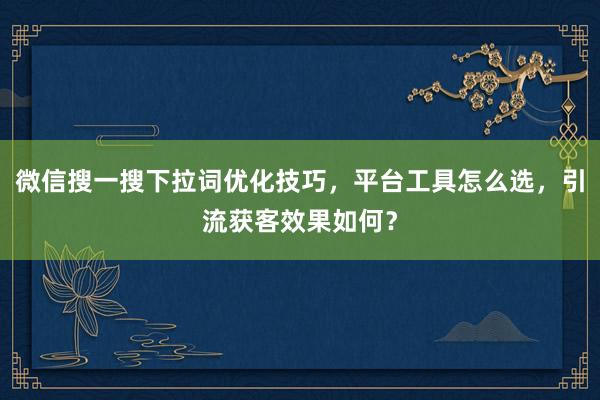 微信搜一搜下拉词优化技巧，平台工具怎么选，引流获客效果如何？