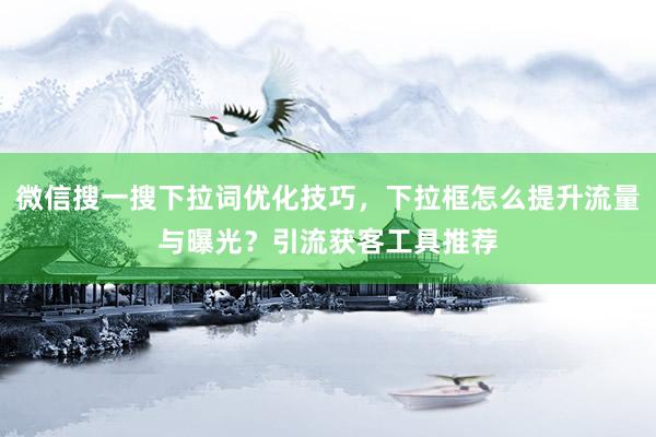 微信搜一搜下拉词优化技巧，下拉框怎么提升流量与曝光？引流获客工具推荐