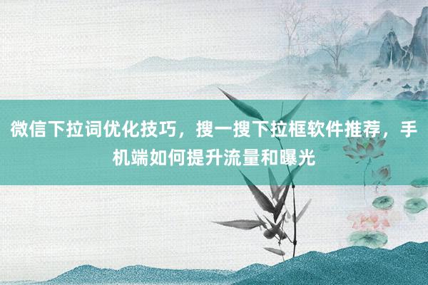 微信下拉词优化技巧，搜一搜下拉框软件推荐，手机端如何提升流量和曝光