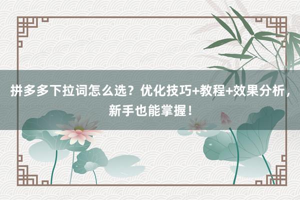 拼多多下拉词怎么选？优化技巧+教程+效果分析，新手也能掌握！